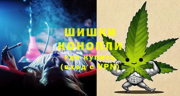 соль ск Няндома