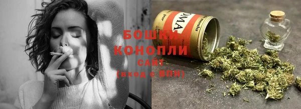 дмт Ладушкин