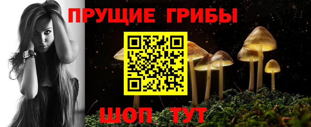 Псилоцибиновые грибы Cubensis Ульяновск