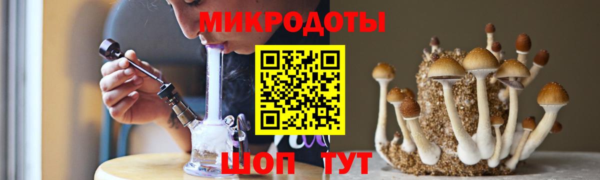 Галлюциногенные грибы Cubensis  Ульяновск 